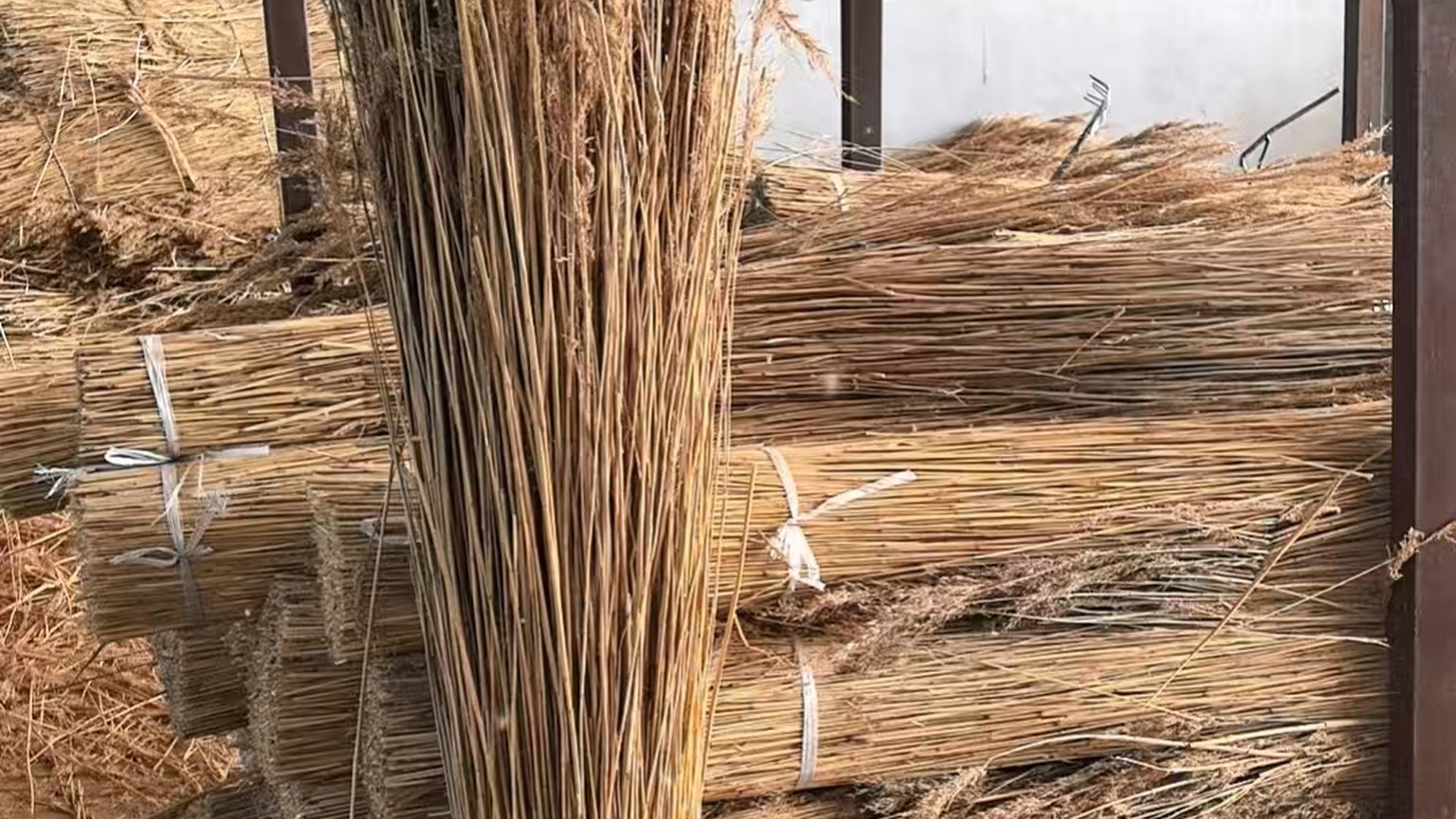 Chinese reed bundles being loaded for export