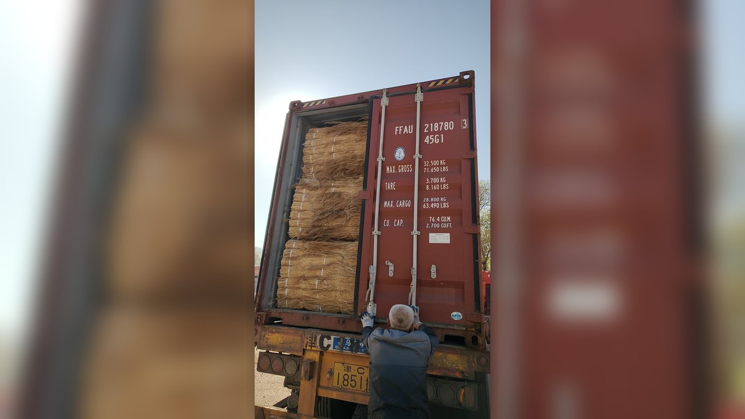 Imported reed supply for European thatching markets