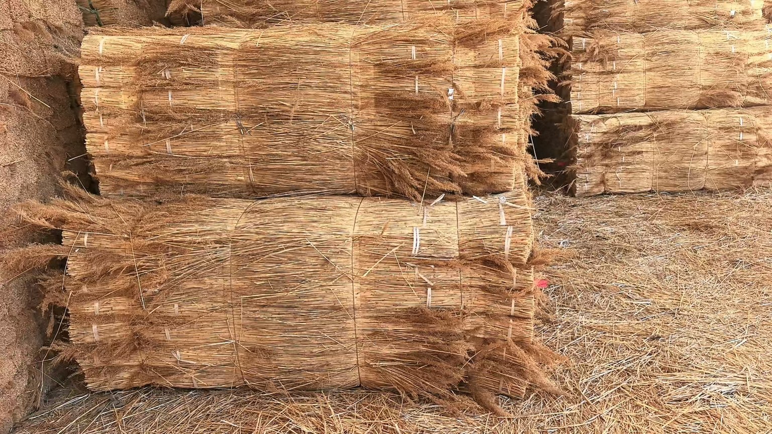 Modern European home with a natural water reed thatched roof