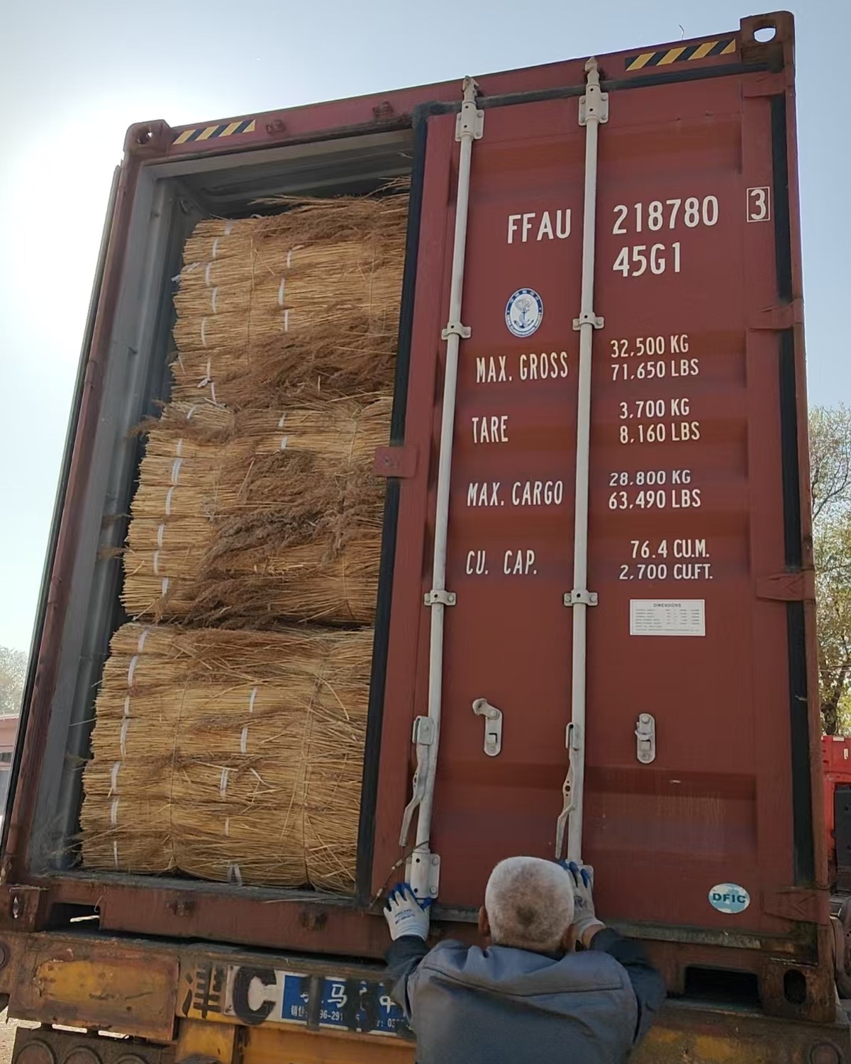 Water reed bundles loaded into an export container